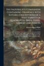 The Naturalists Companion Containing Drawings With Suitable Descriptions of a Vast Variety of Quadrupeds, Birds, Fishes, Serpent and Insects; & Accurately Copied Either From Living Animals or From the Stuffed Specimens in the Museums of the College And...