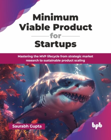 Minimum Viable Product for Startups