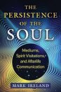 The Persistence of the Soul