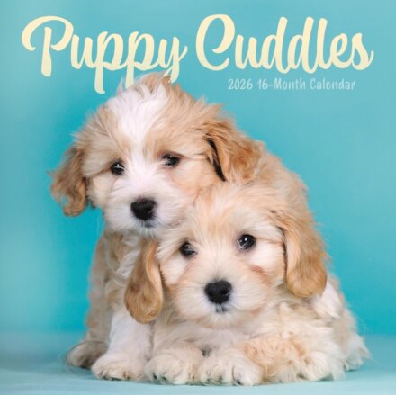 Puppy Cuddles Square Wall Sunday Start C