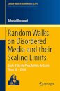 Random Walks On Disordered Media...