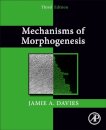 Mechanisms of Morphogenesis