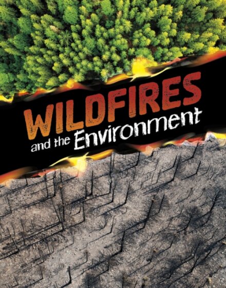 Wildfires and the Environment