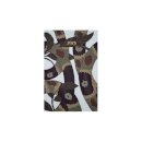 Moleskine 2025 Year Of The Snake 12 Month Weekly Planner