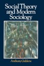 Social Theory and Modern Sociology