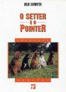 O Setter E O Pointer