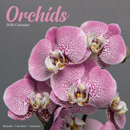 Orchids Calendar 2026  Square Flowers Wall Calendar - 16 Month