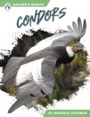 Condors