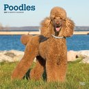 Poodles 2027 Square Flap