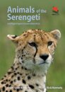 Animals of the Serengeti