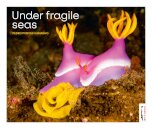 Under Fragile Seas