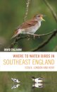 Where to Watch Birds in Southeast England
