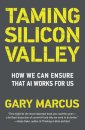 Taming Silicon Valley