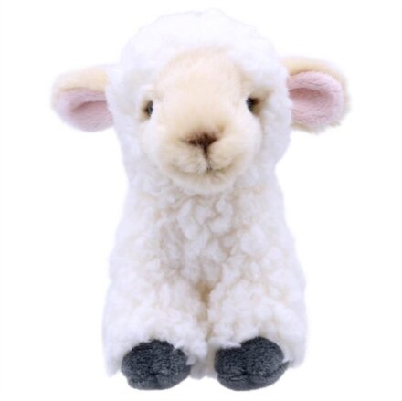 Lamb Soft Toy
