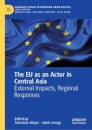 The EU as an Actor in Central Asia