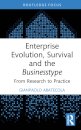 Enterprise Evolution, Survival and the Businesstype