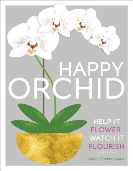 Orchid