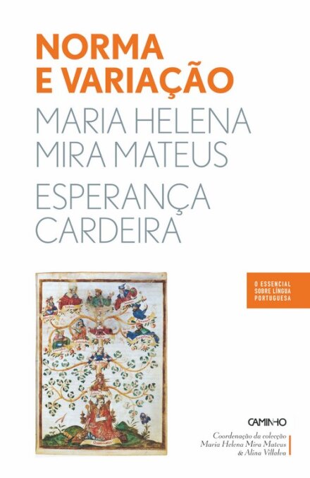 O Essencial: Norma E Variação