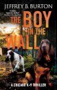The Boy in the Wall