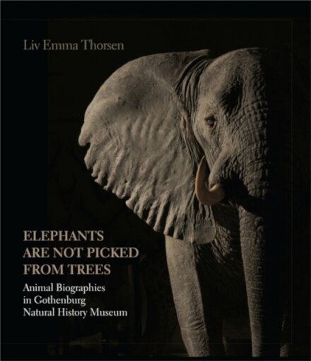 Elephants Are Not Picked from Trees