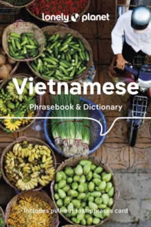 Vietnamese Phrasebook Dictionary 9
