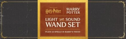 Harry Potter: Harry Potter Light and Sound Wand Set