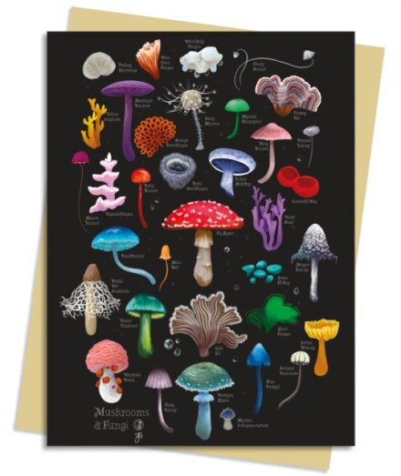 Anna Stead: Mushrooms & Fungi Greeting Card Pack