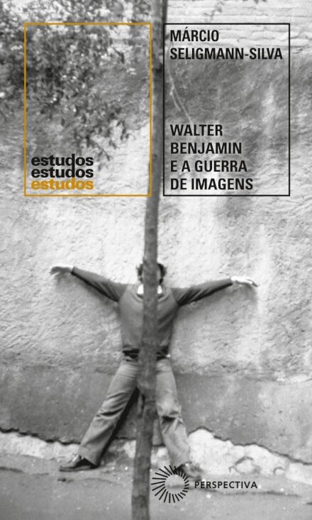 Walter Benjamin E A Guerra De Imagens