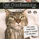 Cat Confessions Square Wall Sunday Start