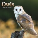 Owls Square Mini Calendar 2026