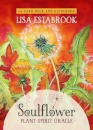 Soulflower Plant Spirit Oracle
