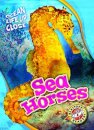 Sea Horses