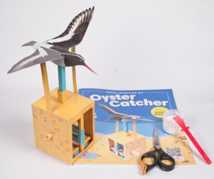 Oyster Catcher -Rob Ives Paper Animation Kit