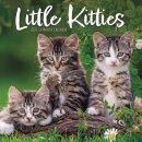 Little Kitties Square Wall Sunday Start