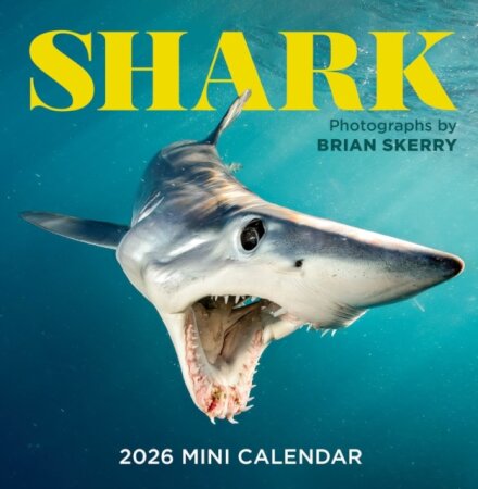 Shark Mini Wall Calendar 2026