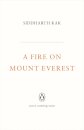 A Fire on Mount Everest