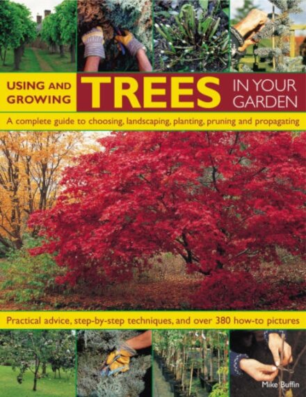Using and Growing Trees in Your Garden