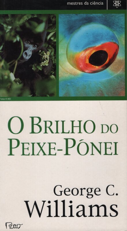 O Brilho Do Peixe-Pónei