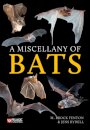 A Miscellany of Bats