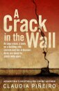 A Crack in the Wall