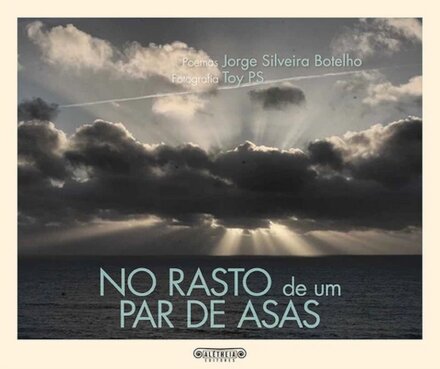No Rasto De Um Par De Asas