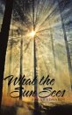 What the Sun Sees
