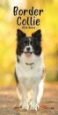 Border Collies Slim Diary 2026