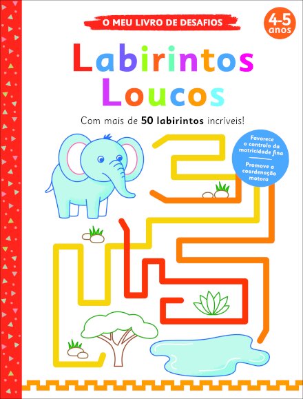 O Meu Livro de Desafios: Labirintos Loucos