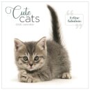 Cute Cats Square Wall Calendar 2026