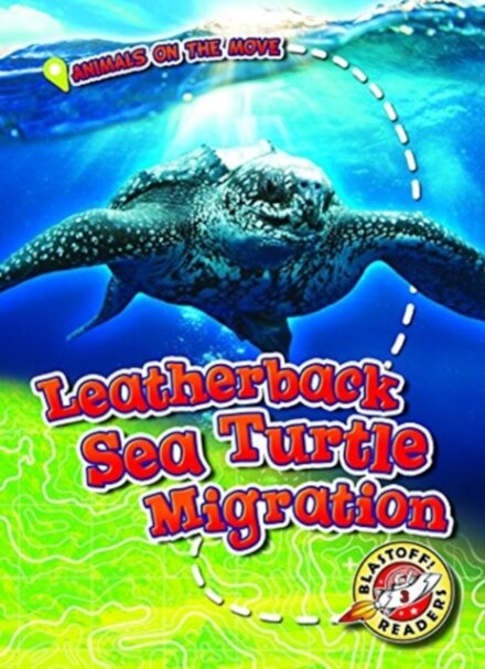 Leatherback Sea Turtle Migration