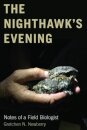 The Nighthawk's Evening