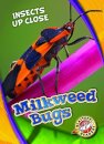 Milkweed Bugs