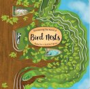 Discovering the World of Bird Nests
