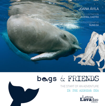 Begs & Friends - The Start of an Adventure in the Azorean Sea